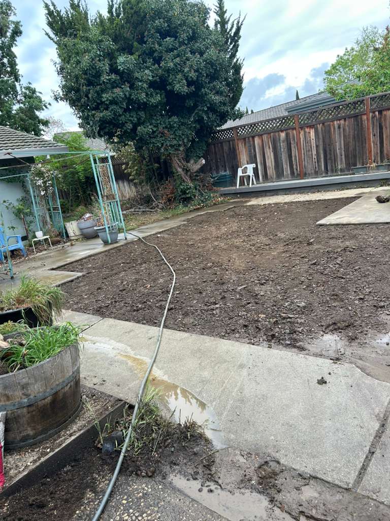 Backyard Grading with Walkways