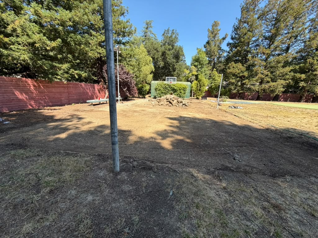 Cleared Backyard with Debris Pile