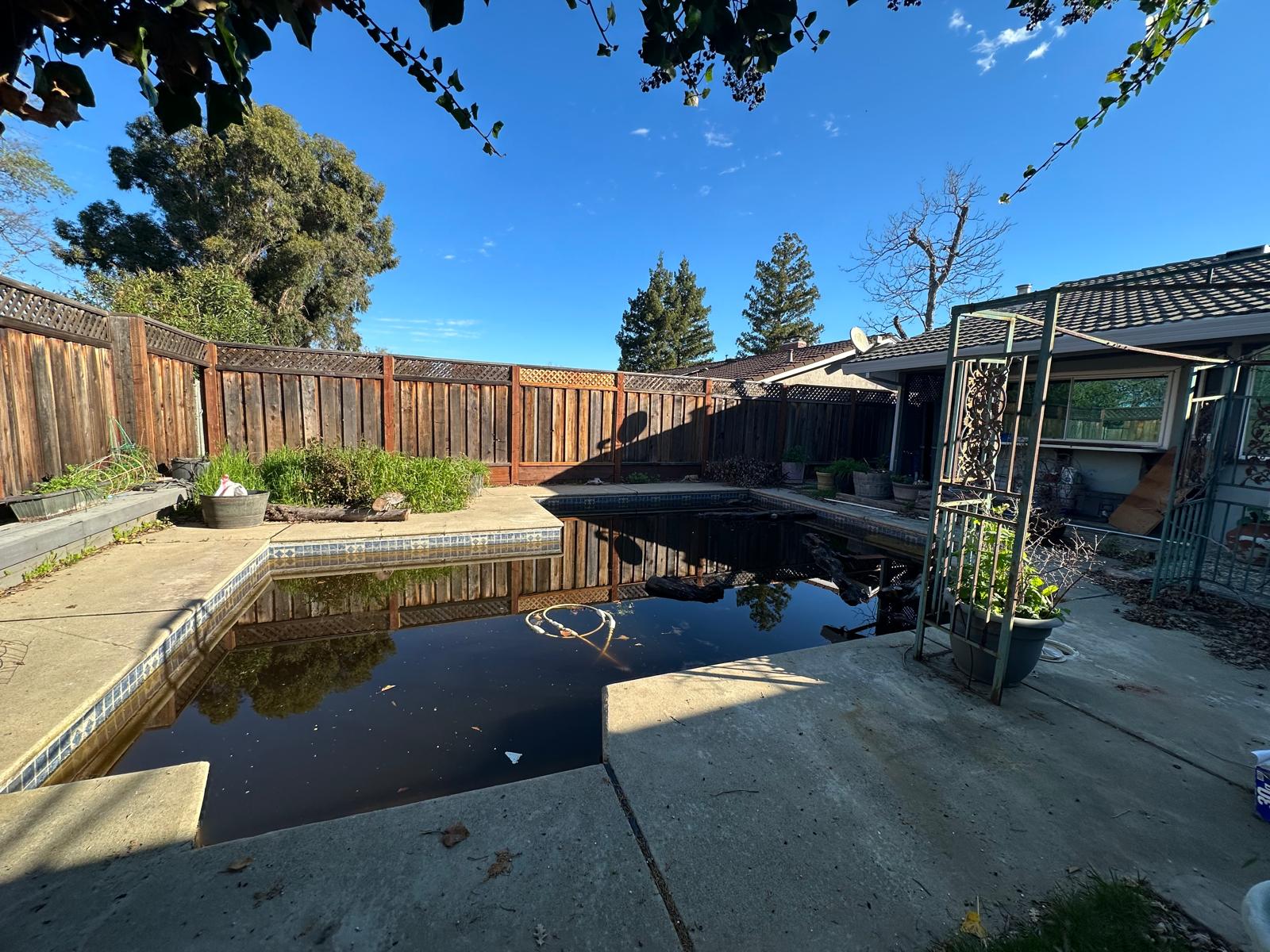 Backyard Pool Before Removal